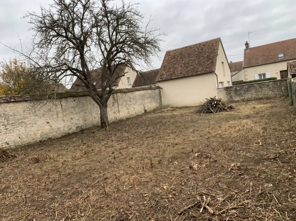 Après : Débroussaillage d'un fond de jardin envahi par les ronces