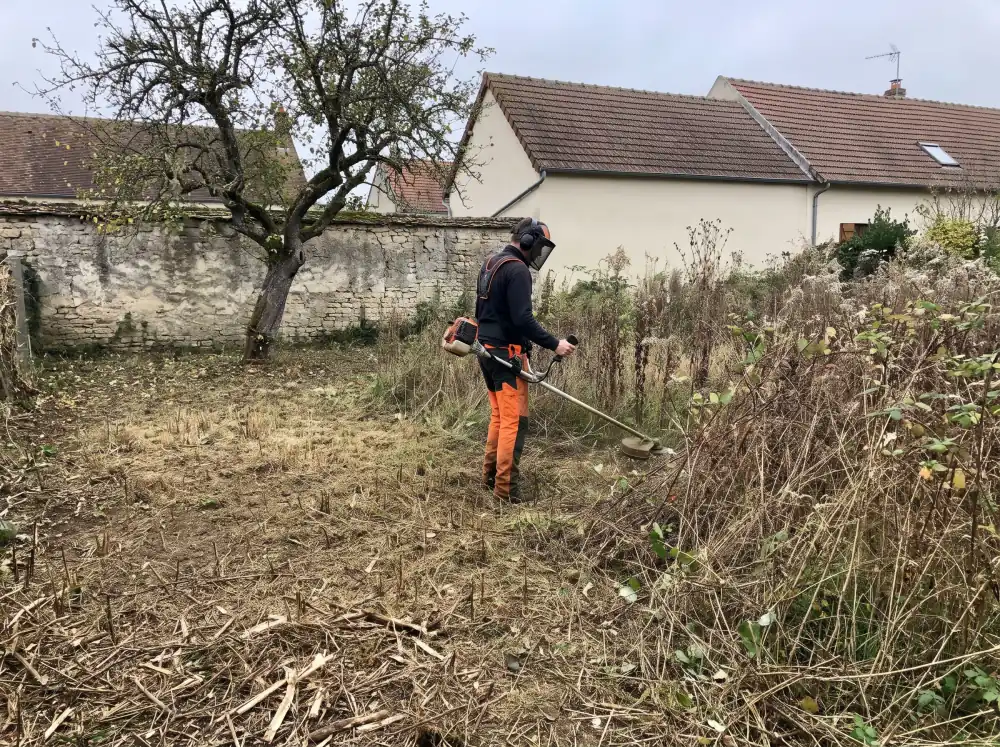 Débroussaillage d'un terrain envahi par les ronces