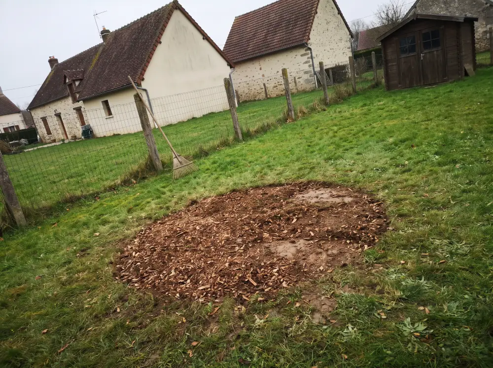 Après : Rognage d'une souche dans une pelouse